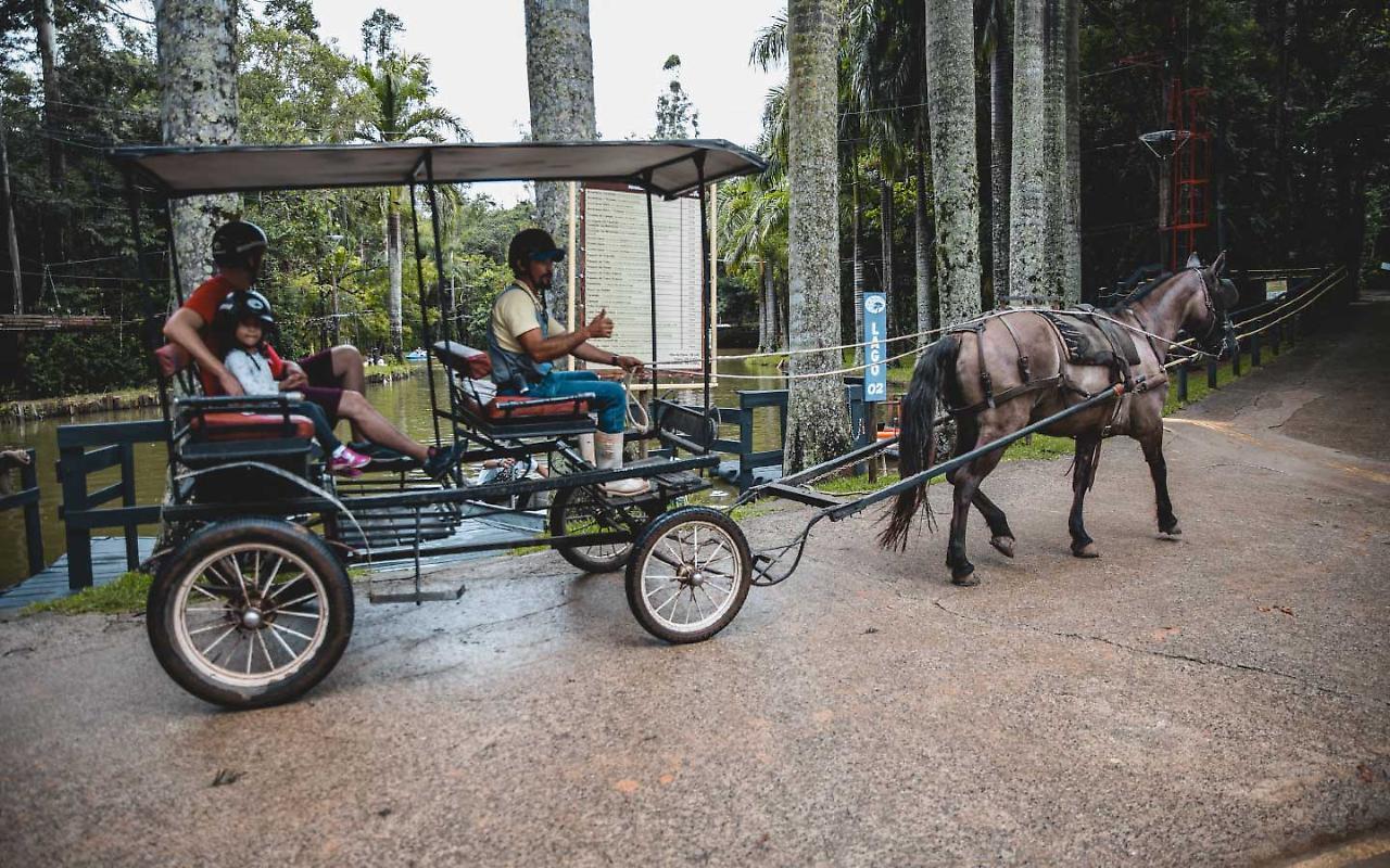 Hotel Fazenda Campo Dos Sonhos Socorro  Extérieur photo